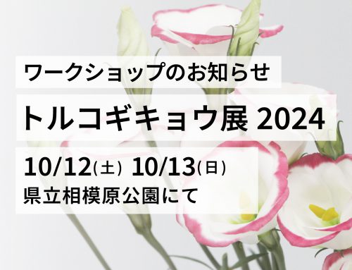 トルコギキョウ展2024　ドライフラワー作りワークショップを開催します